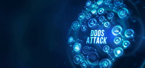 DDoS攻撃対策（オプション）